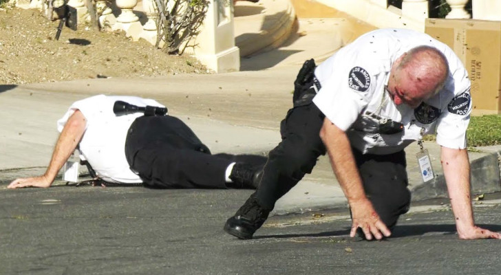 لأنهم أزعجوه.. نحال توقفه الشرطة فيطلق عليهم النحل للانتقام!