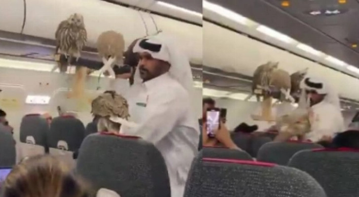 مواطن خليجي يصطحب صقورًا داخل الطائرة وسط اندهاش الركاب!