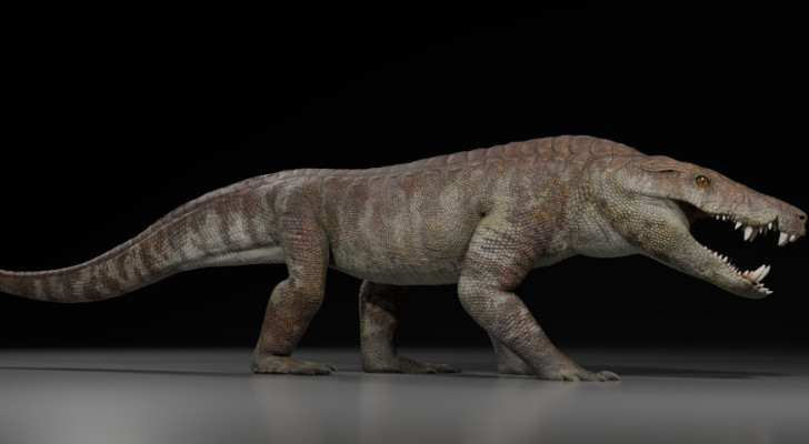 اكتشاف نوع من الزواحف المفترسة كان يلتهم الديناصورات!