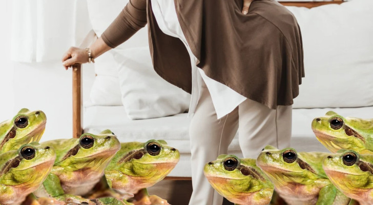 مسنة صينية تبتلع 8 ضفادع حية لتخفيف آلام الظهر!