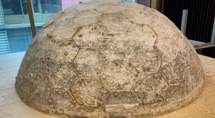 ينمو ويكبر مع الوقت .. ابتكار منزل حي صديق للبيئة مصنوع من الفطر