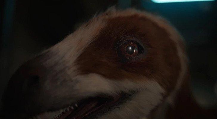 عودة الديناصورات! الصين تكشف عن أول روبوت ديناصور بريش حقيقي!