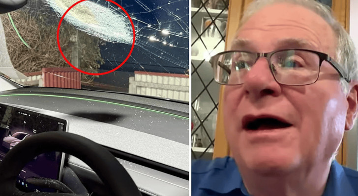 رجل يشتري سيارة أحلامه، فيصدمها نيزك نادر للغاية!