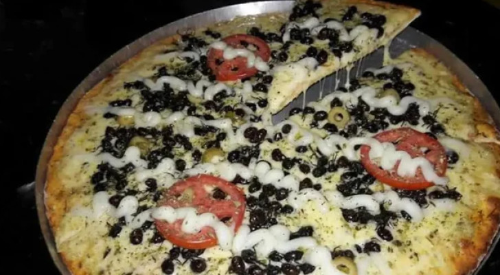 "بيتزا النمل!".. انتشار نوع غريب من البيتزا في البرازيل (فيديو)