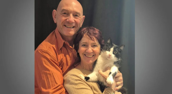 قطة فرنسية ضائعة تعود إلى منزلها بعد 5 أشهر من الاختفاء في إسبانيا!