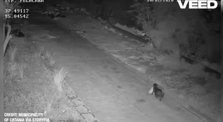 حيلة غريبة في إيطاليا.. رجل يدرب كلبه على رمي أكياس القمامة هربا من الرسوم!