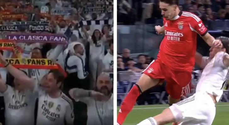 ريال مدريد يطرد مشجعا رفع إشارة النازية بمبارة بنفيكا ويحقق في الأمر!