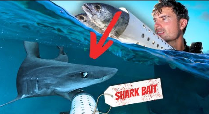 كاميرا رؤية ليلية في قاع المحيط عند منتصف الليل تكشف مشاهد مرعبة!