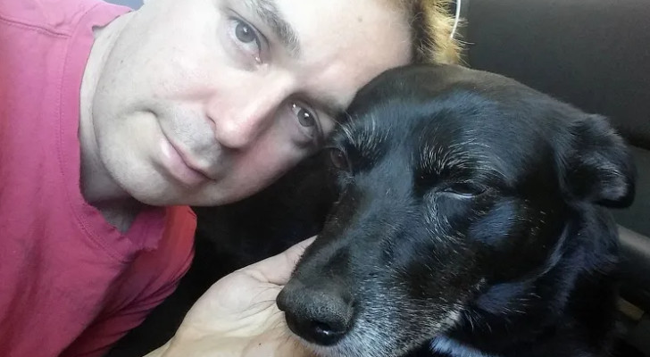 قطع 10 آلاف ميل وأنفق 40 ألف دولار.. رجل يجمد كلبه المريض أملا في إعادته للحياة مستقبلا!