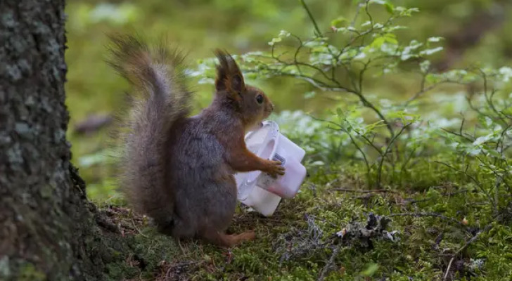 مشهد سنجاب يدخن سجائر إلكترونية يثير القلق! (فيديو)