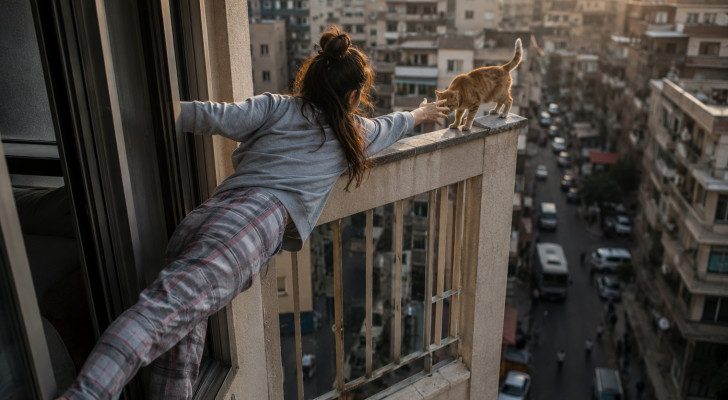 اندفاع بدافع الرحمة يتحول إلى لحظات مؤلمة في مصر